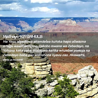 Picture 02 - Mathayo 4:21 SWHULB - Na Yesu alipokuwa akiendelea kutoka hapo aliwaona - Bible Verse Picture