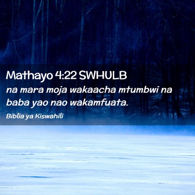 Picture 02 - Mathayo 4:22 SWHULB - na mara moja wakaacha mtumbwi na baba yao nao - Bible Verse Picture