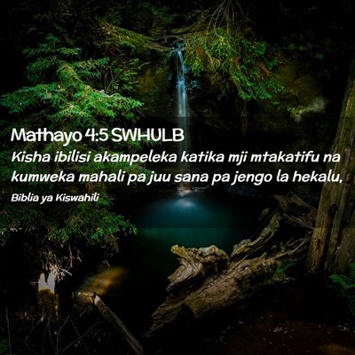 Picture 02 - Mathayo 4:5 SWHULB - Kisha ibilisi akampeleka katika mji mtakatifu na - Bible Verse Picture