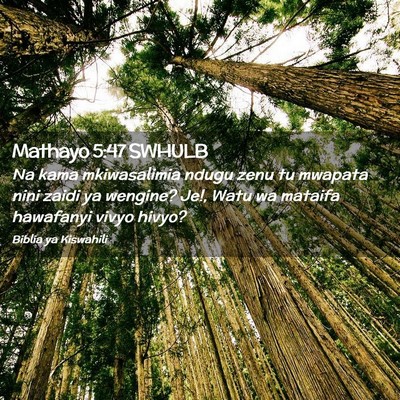 Picture 02 - Mathayo 5:47 SWHULB - Na kama mkiwasalimia ndugu zenu tu mwapata nini - Bible Verse Picture
