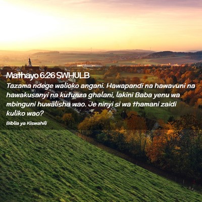 Picture 02 - Mathayo 6:26 SWHULB - Tazama ndege walioko angani. Hawapandi na - Bible Verse Picture