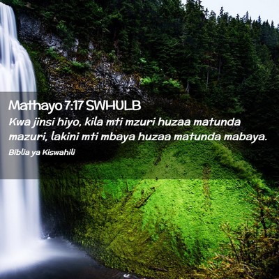 Picture 02 - Mathayo 7:17 SWHULB - Kwa jinsi hiyo, kila mti mzuri huzaa matunda - Bible Verse Picture