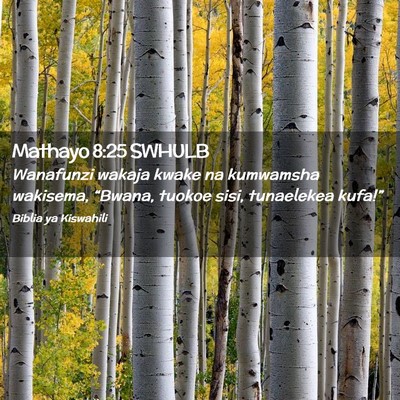 Picture 02 - Mathayo 8:25 SWHULB - Wanafunzi wakaja kwake na kumwamsha wakisema, - Bible Verse Picture