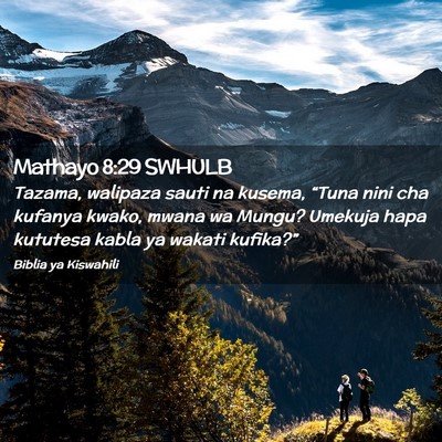 Picture 02 - Mathayo 8:29 SWHULB - Tazama, walipaza sauti na kusema, “Tuna nini - Bible Verse Picture