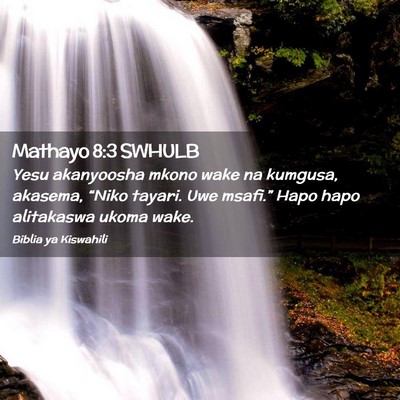 Picture 02 - Mathayo 8:3 SWHULB - Yesu akanyoosha mkono wake na kumgusa, akasema, - Bible Verse Picture