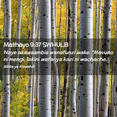 Picture 02 - Mathayo 9:37 SWHULB - Naye akawaambia wanafunzi wake. “Mavuno ni - Bible Verse Picture