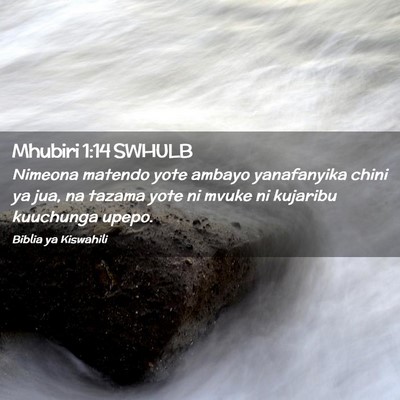 Picture 02 - Mhubiri 1:14 SWHULB - Nimeona matendo yote ambayo yanafanyika chini ya - Bible Verse Picture