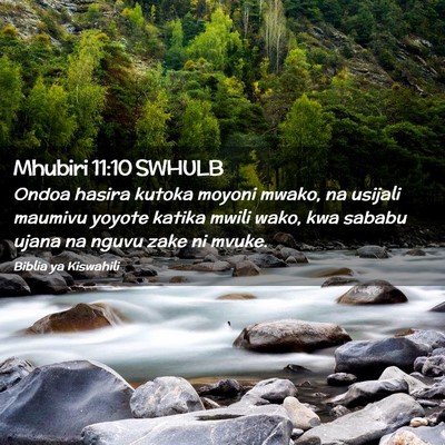 Picture 02 - Mhubiri 11:10 SWHULB - Ondoa hasira kutoka moyoni mwako, na usijali - Bible Verse Picture