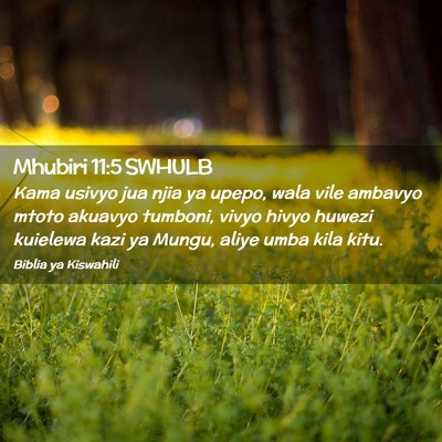 Picture 02 - Mhubiri 11:5 SWHULB - Kama usivyo jua njia ya upepo, wala vile ambavyo - Bible Verse Picture