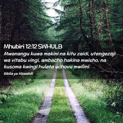 Picture 02 - Mhubiri 12:12 SWHULB - Mwanangu kuwa makini na kitu zaidi, utengezaji wa - Bible Verse Picture
