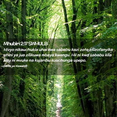 Picture 02 - Mhubiri 2:17 SWHULB - Hivyo nikauchukia uhai kwa sababu kazi zote - Bible Verse Picture