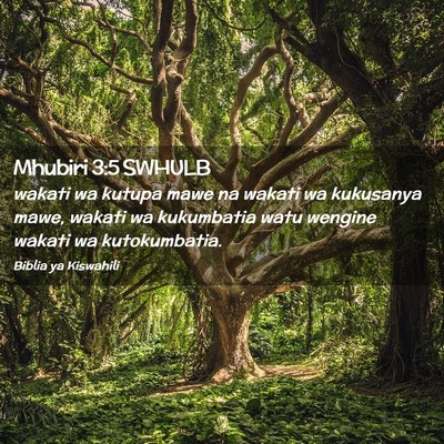 Picture 02 - Mhubiri 3:5 SWHULB - wakati wa kutupa mawe na wakati wa kukusanya - Bible Verse Picture