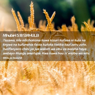 Picture 02 - Mhubiri 5:18 SWHULB - Tazama, kile nilichokiona kuwa kizuri kufaaa ni - Bible Verse Picture