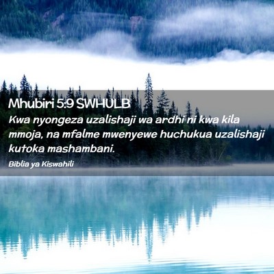 Picture 02 - Mhubiri 5:9 SWHULB - Kwa nyongeza uzalishaji wa ardhi ni kwa kila - Bible Verse Picture