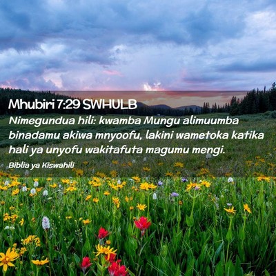 Picture 02 - Mhubiri 7:29 SWHULB - Nimegundua hili: kwamba Mungu alimuumba binadamu - Bible Verse Picture
