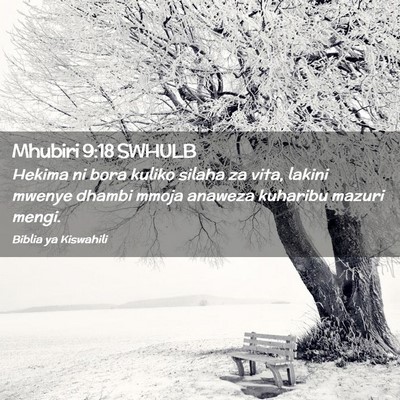 Picture 02 - Mhubiri 9:18 SWHULB - Hekima ni bora kuliko silaha za vita, lakini - Bible Verse Picture