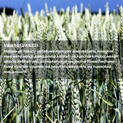 Picture 02 - Mika 5:8 SWHULB - Mabaki ya Yakobo yatakuwa miongoni mwa mataifa, - Bible Verse Picture