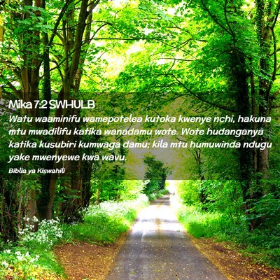 Picture 02 - Mika 7:2 SWHULB - Watu waaminifu wamepotelea kutoka kwenye nchi, - Bible Verse Picture