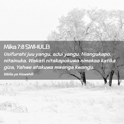 Picture 02 - Mika 7:8 SWHULB - Usifurahi juu yangu, adui yangu. Niangukapo, - Bible Verse Picture