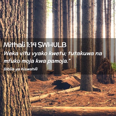 Picture 02 - Mithali 1:14 SWHULB - Weka vitu vyako kwetu; tutakuwa na mfuko moja kwa - Bible Verse Picture