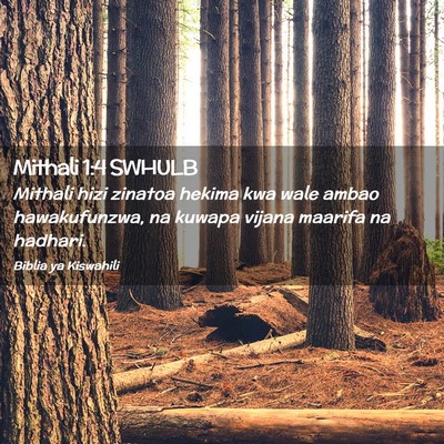 Picture 02 - Mithali 1:4 SWHULB - Mithali hizi zinatoa hekima kwa wale ambao - Bible Verse Picture