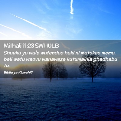 Picture 02 - Mithali 11:23 SWHULB - Shauku ya wale watendao haki ni matokeo mema, - Bible Verse Picture