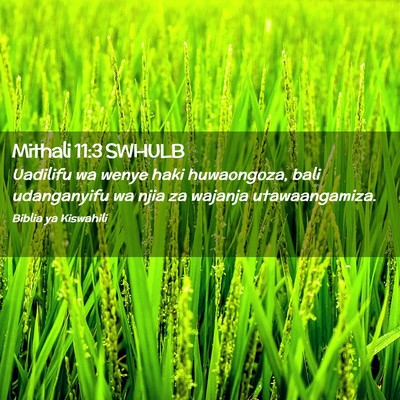 Picture 02 - Mithali 11:3 SWHULB - Uadilifu wa wenye haki huwaongoza, bali - Bible Verse Picture