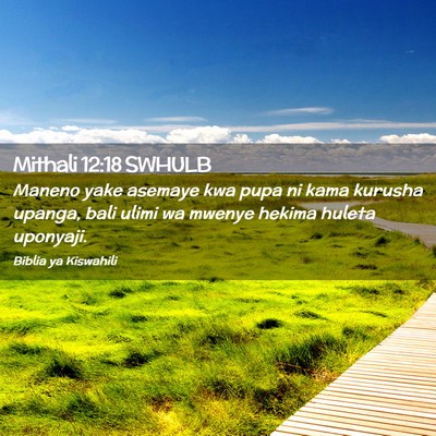 Picture 02 - Mithali 12:18 SWHULB - Maneno yake asemaye kwa pupa ni kama kurusha - Bible Verse Picture