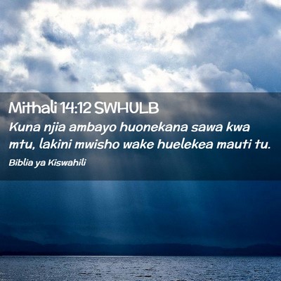 Picture 02 - Mithali 14:12 SWHULB - Kuna njia ambayo huonekana sawa kwa mtu, lakini - Bible Verse Picture