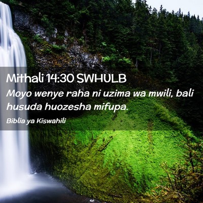 Picture 02 - Mithali 14:30 SWHULB - Moyo wenye raha ni uzima wa mwili, bali husuda - Bible Verse Picture