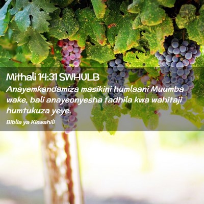 Picture 02 - Mithali 14:31 SWHULB - Anayemkandamiza masikini humlaani Muumba wake, - Bible Verse Picture