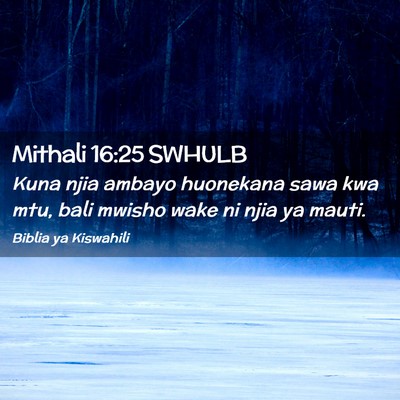 Picture 02 - Mithali 16:25 SWHULB - Kuna njia ambayo huonekana sawa kwa mtu, bali - Bible Verse Picture