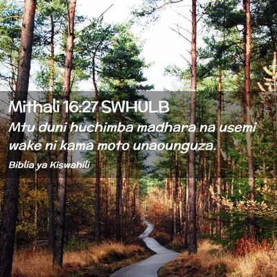 Picture 02 - Mithali 16:27 SWHULB - Mtu duni huchimba madhara na usemi wake ni kama - Bible Verse Picture