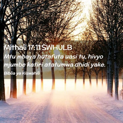 Picture 02 - Mithali 17:11 SWHULB - Mtu mbaya hutafuta uasi tu, hivyo mjumbe katiri - Bible Verse Picture