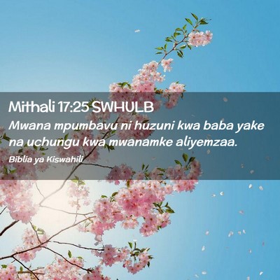 Picture 02 - Mithali 17:25 SWHULB - Mwana mpumbavu ni huzuni kwa baba yake na uchungu - Bible Verse Picture