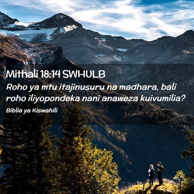 Picture 02 - Mithali 18:14 SWHULB - Roho ya mtu itajinusuru na madhara, bali roho - Bible Verse Picture