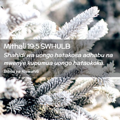 Picture 02 - Mithali 19:5 SWHULB - Shahidi wa uongo hatakosa adhabu na mwenye - Bible Verse Picture