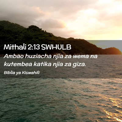 Picture 02 - Mithali 2:13 SWHULB - Ambao huziacha njia za wema na kutembea katika - Bible Verse Picture