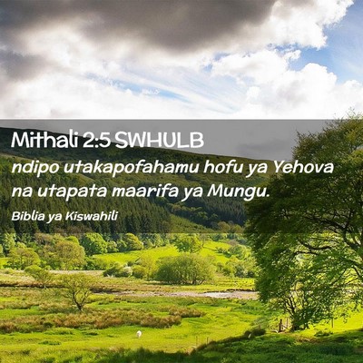 Picture 02 - Mithali 2:5 SWHULB - ndipo utakapofahamu hofu ya Yehova na utapata - Bible Verse Picture