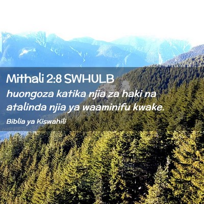 Picture 02 - Mithali 2:8 SWHULB - huongoza katika njia za haki na atalinda njia ya - Bible Verse Picture