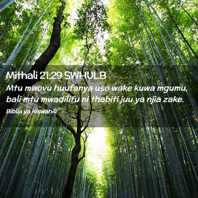 Picture 02 - Mithali 21:29 SWHULB - Mtu mwovu huufanya uso wake kuwa mgumu, bali mtu - Bible Verse Picture