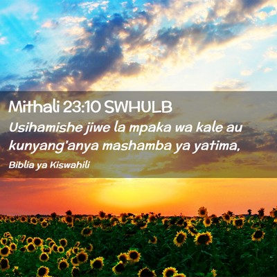 Picture 02 - Mithali 23:10 SWHULB - Usihamishe jiwe la mpaka wa kale au kunyang'anya - Bible Verse Picture