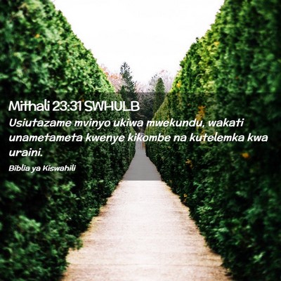 Picture 02 - Mithali 23:31 SWHULB - Usiutazame mvinyo ukiwa mwekundu, wakati - Bible Verse Picture