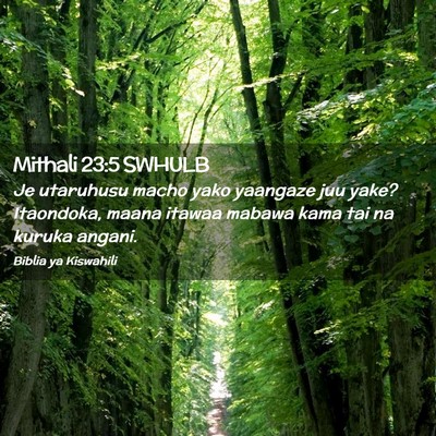 Picture 02 - Mithali 23:5 SWHULB - Je utaruhusu macho yako yaangaze juu yake? - Bible Verse Picture