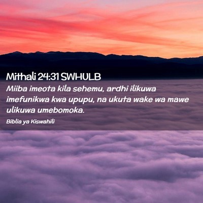 Picture 02 - Mithali 24:31 SWHULB - Miiba imeota kila sehemu, ardhi ilikuwa - Bible Verse Picture