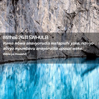 Picture 02 - Mithali 26:11 SWHULB - Kama mbwa anavyorudia matapishi yake, ndivyo - Bible Verse Picture