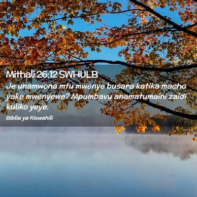 Picture 02 - Mithali 26:12 SWHULB - Je unamwona mtu mwenye busara katika macho yake - Bible Verse Picture