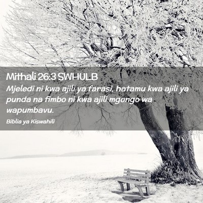 Picture 02 - Mithali 26:3 SWHULB - Mjeledi ni kwa ajili ya farasi, hatamu kwa ajili - Bible Verse Picture