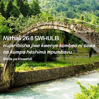 Picture 02 - Mithali 26:8 SWHULB - Kujaribisha jiwe kwenye kombeo ni sawa na kumpa - Bible Verse Picture