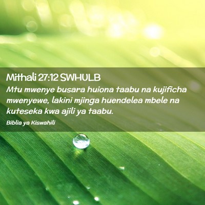 Picture 02 - Mithali 27:12 SWHULB - Mtu mwenye busara huiona taabu na kujificha - Bible Verse Picture